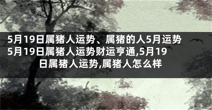 5月19日属猪人运势、属猪的人5月运势5月19日属猪人运势财运亨通,5月19日属猪人运势,属猪人怎么样