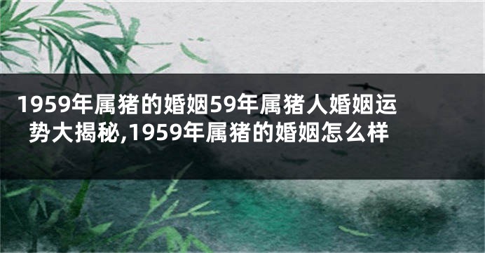1959年属猪的婚姻59年属猪人婚姻运势大揭秘,1959年属猪的婚姻怎么样