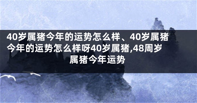 40岁属猪今年的运势怎么样、40岁属猪今年的运势怎么样呀40岁属猪,48周岁属猪今年运势