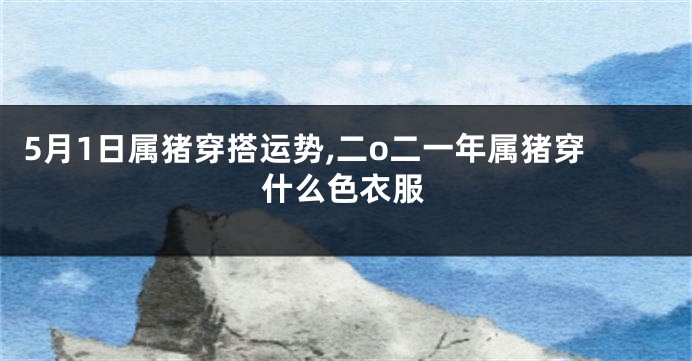 5月1日属猪穿搭运势,二o二一年属猪穿什么色衣服