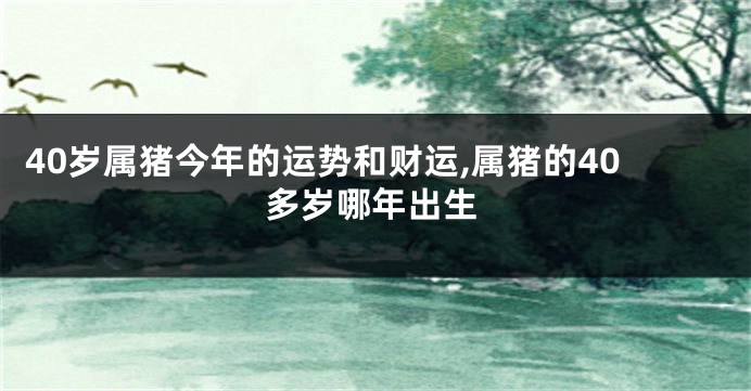 40岁属猪今年的运势和财运,属猪的40多岁哪年出生