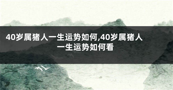 40岁属猪人一生运势如何,40岁属猪人一生运势如何看