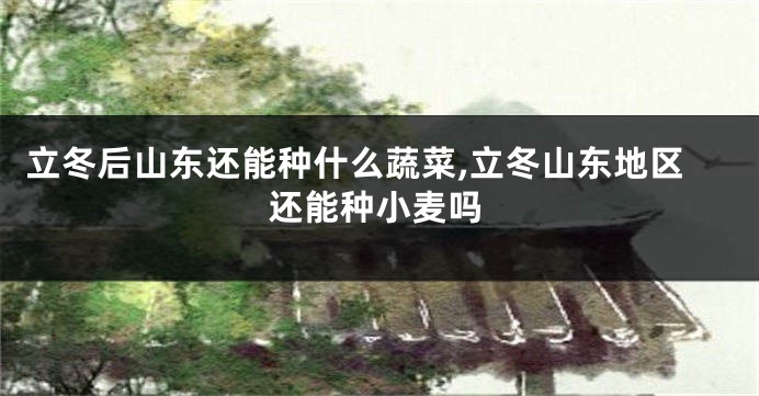 立冬后山东还能种什么蔬菜,立冬山东地区还能种小麦吗