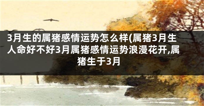 3月生的属猪感情运势怎么样(属猪3月生人命好不好3月属猪感情运势浪漫花开,属猪生于3月