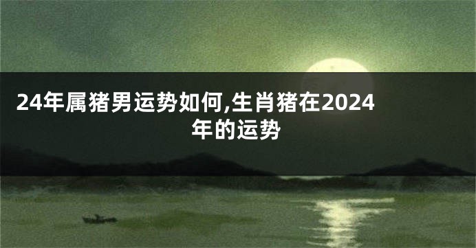 24年属猪男运势如何,生肖猪在2024年的运势
