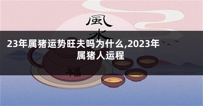 23年属猪运势旺夫吗为什么,2023年属猪人运程