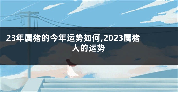 23年属猪的今年运势如何,2023属猪人的运势