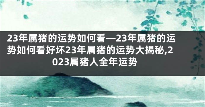 23年属猪的运势如何看—23年属猪的运势如何看好坏23年属猪的运势大揭秘,2023属猪人全年运势