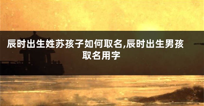 辰时出生姓苏孩子如何取名,辰时出生男孩取名用字