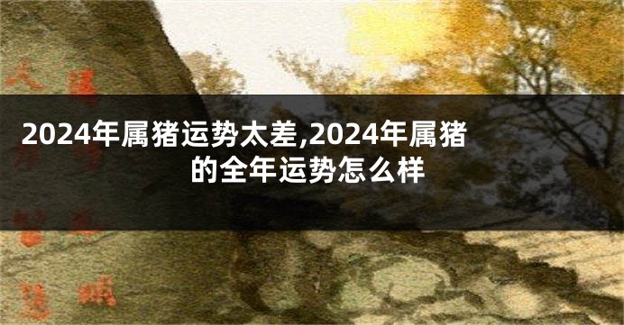 2024年属猪运势太差,2024年属猪的全年运势怎么样