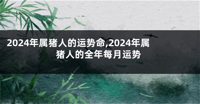 2024年属猪人的运势命,2024年属猪人的全年每月运势