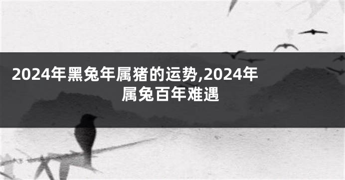 2024年黑兔年属猪的运势,2024年属兔百年难遇