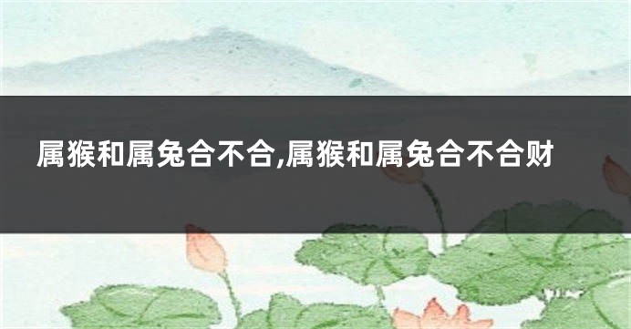 属猴和属兔合不合,属猴和属兔合不合财