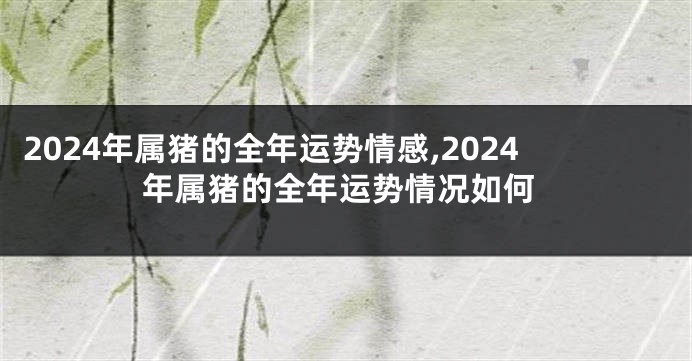 2024年属猪的全年运势情感,2024年属猪的全年运势情况如何