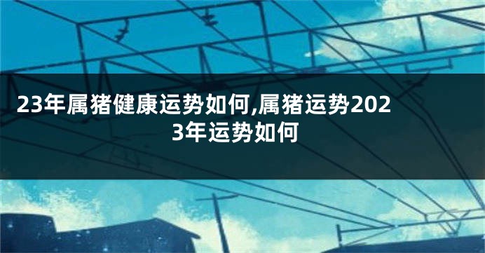 23年属猪健康运势如何,属猪运势2023年运势如何