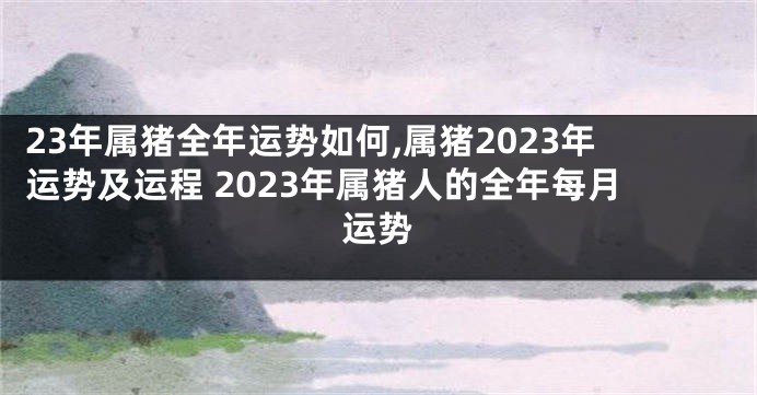 23年属猪全年运势如何,属猪2023年运势及运程 2023年属猪人的全年每月运势