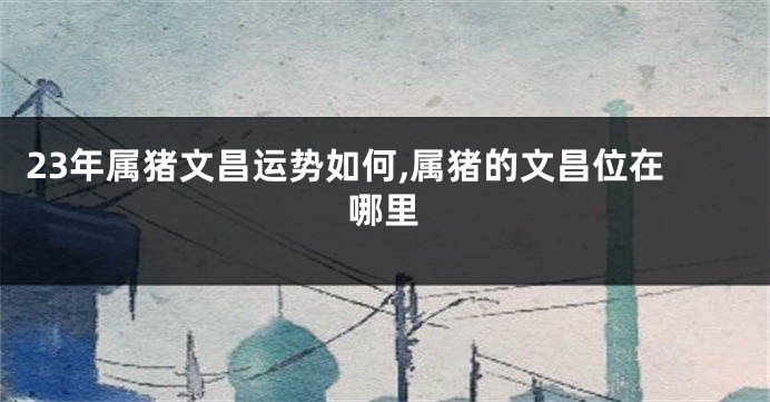 23年属猪文昌运势如何,属猪的文昌位在哪里