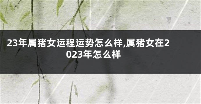 23年属猪女运程运势怎么样,属猪女在2023年怎么样