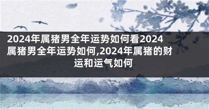 2024年属猪男全年运势如何看2024属猪男全年运势如何,2024年属猪的财运和运气如何