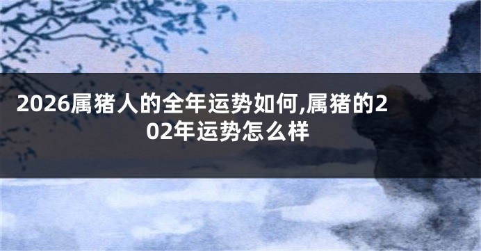 2026属猪人的全年运势如何,属猪的202年运势怎么样