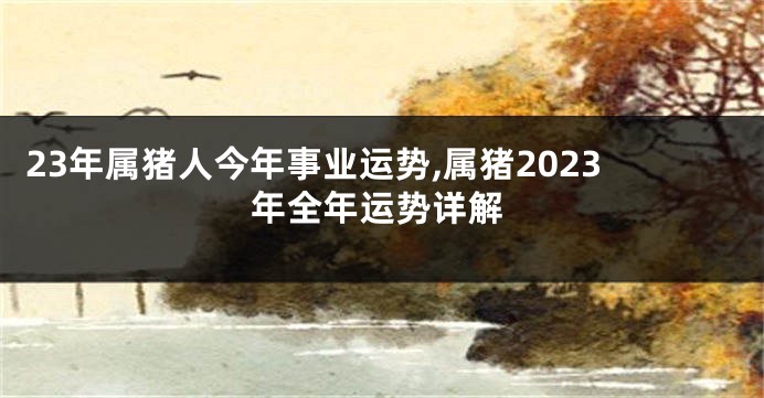 23年属猪人今年事业运势,属猪2023年全年运势详解