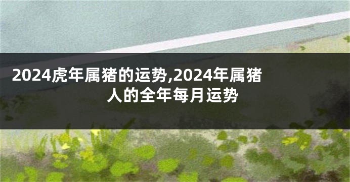 2024虎年属猪的运势,2024年属猪人的全年每月运势