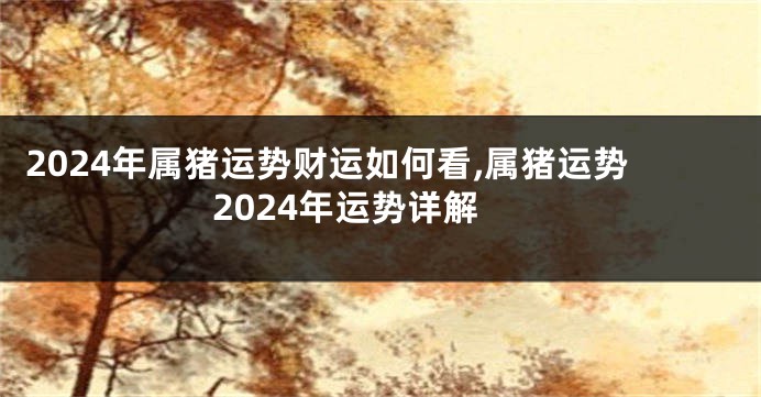 2024年属猪运势财运如何看,属猪运势2024年运势详解