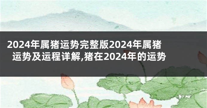 2024年属猪运势完整版2024年属猪运势及运程详解,猪在2024年的运势