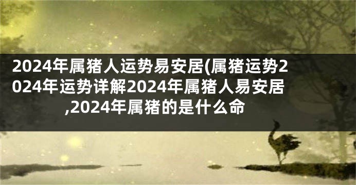 2024年属猪人运势易安居(属猪运势2024年运势详解2024年属猪人易安居,2024年属猪的是什么命