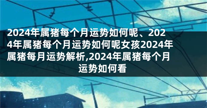 2024年属猪每个月运势如何呢、2024年属猪每个月运势如何呢女孩2024年属猪每月运势解析,2024年属猪每个月运势如何看