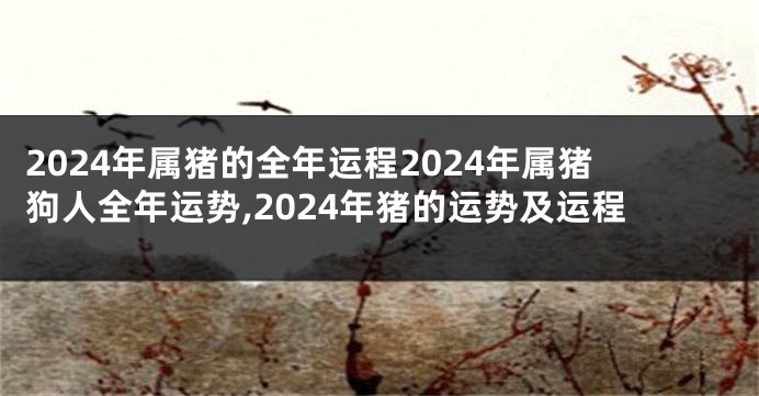 2024年属猪的全年运程2024年属猪狗人全年运势,2024年猪的运势及运程