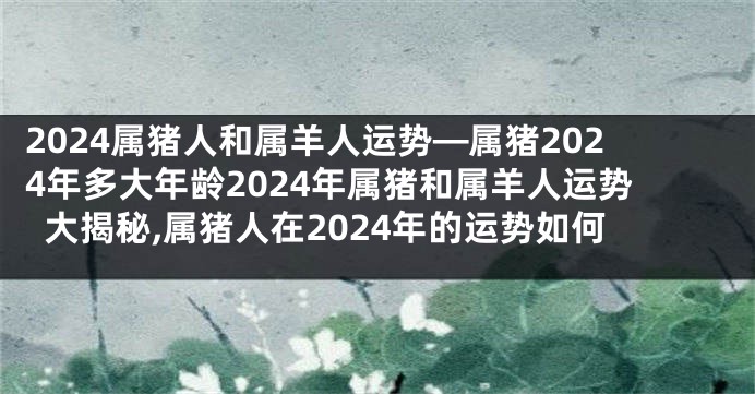 2024属猪人和属羊人运势—属猪2024年多大年龄2024年属猪和属羊人运势大揭秘,属猪人在2024年的运势如何