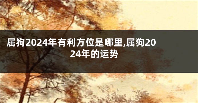 属狗2024年有利方位是哪里,属狗2024年的运势