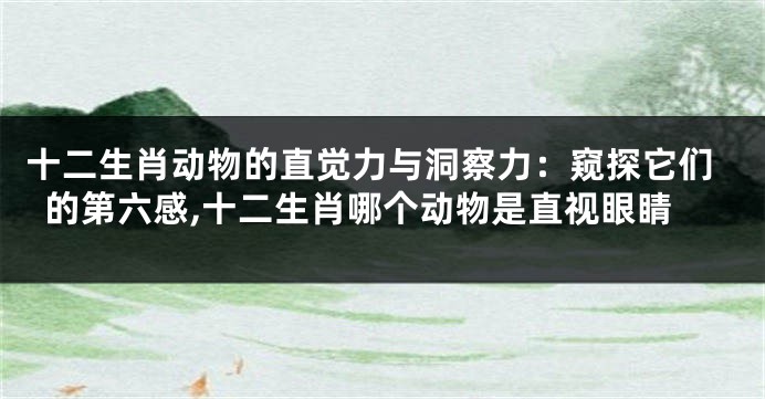 十二生肖动物的直觉力与洞察力：窥探它们的第六感,十二生肖哪个动物是直视眼睛