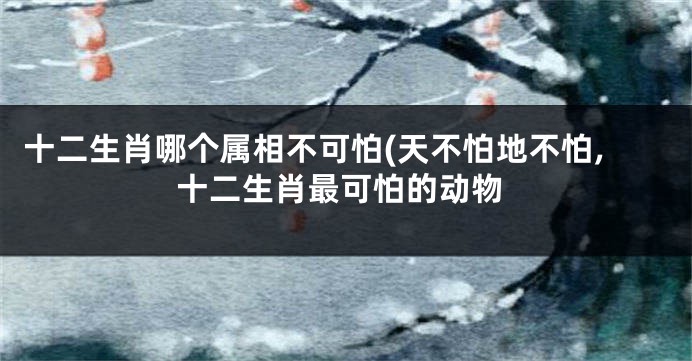 十二生肖哪个属相不可怕(天不怕地不怕,十二生肖最可怕的动物