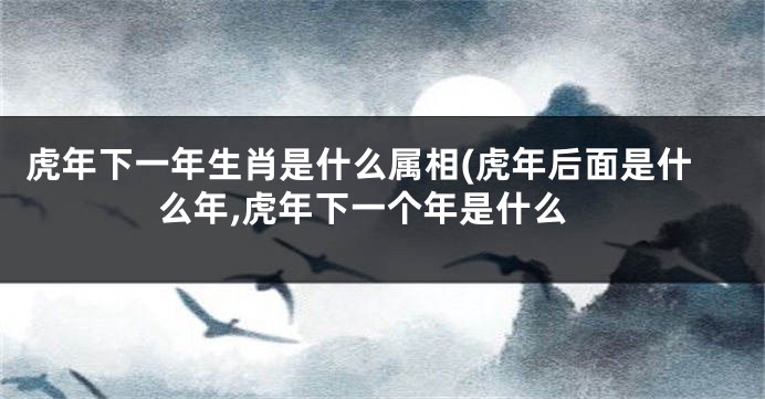 虎年下一年生肖是什么属相(虎年后面是什么年,虎年下一个年是什么