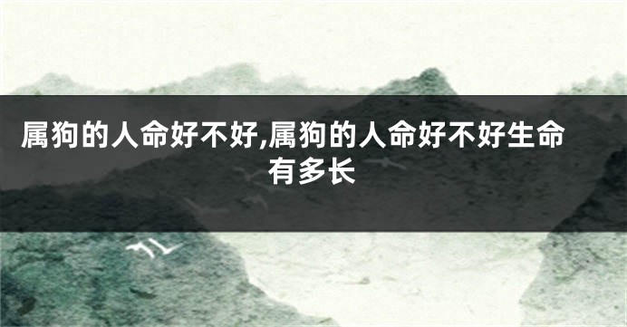 属狗的人命好不好,属狗的人命好不好生命有多长