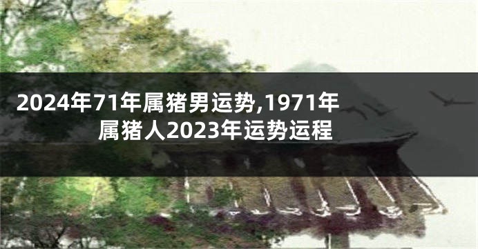 2024年71年属猪男运势,1971年属猪人2023年运势运程