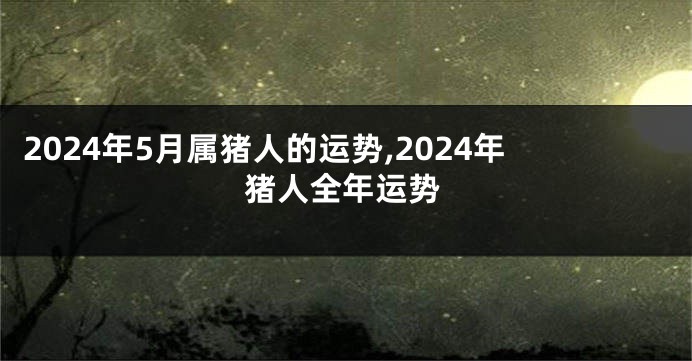 2024年5月属猪人的运势,2024年猪人全年运势