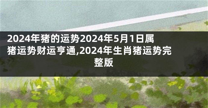 2024年猪的运势2024年5月1日属猪运势财运亨通,2024年生肖猪运势完整版