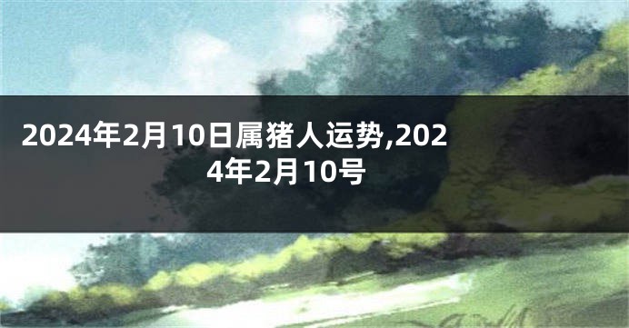 2024年2月10日属猪人运势,2024年2月10号