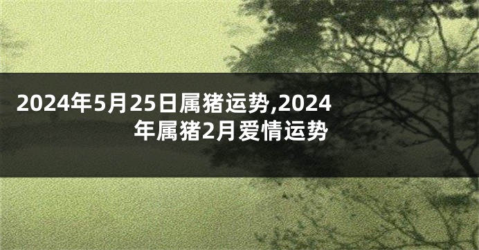 2024年5月25日属猪运势,2024年属猪2月爱情运势