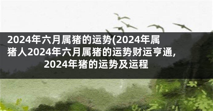 2024年六月属猪的运势(2024年属猪人2024年六月属猪的运势财运亨通,2024年猪的运势及运程