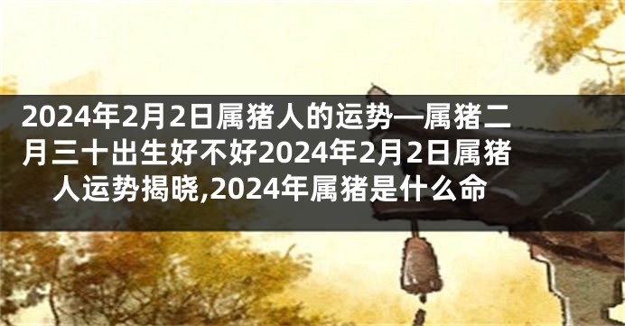 2024年2月2日属猪人的运势—属猪二月三十出生好不好2024年2月2日属猪人运势揭晓,2024年属猪是什么命