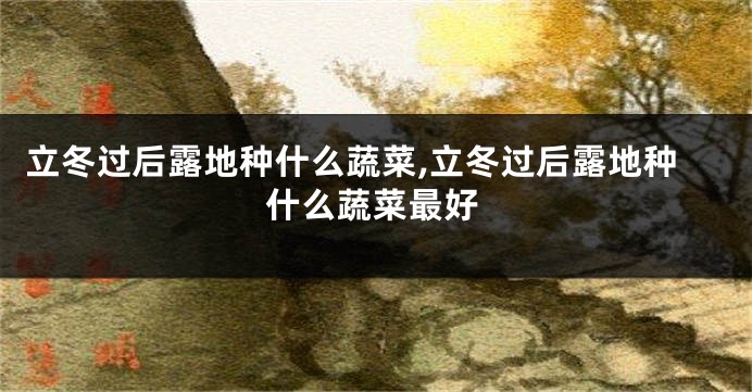 立冬过后露地种什么蔬菜,立冬过后露地种什么蔬菜最好