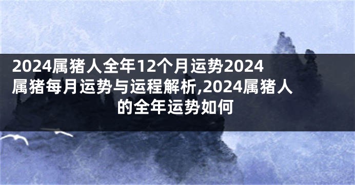 2024属猪人全年12个月运势2024属猪每月运势与运程解析,2024属猪人的全年运势如何