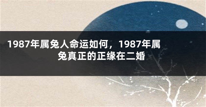 1987年属兔人命运如何，1987年属兔真正的正缘在二婚