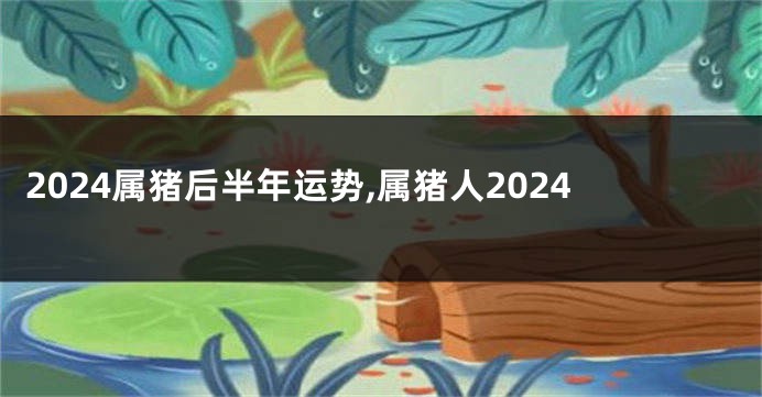 2024属猪后半年运势,属猪人2024