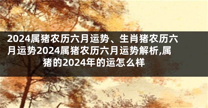 2024属猪农历六月运势、生肖猪农历六月运势2024属猪农历六月运势解析,属猪的2024年的运怎么样