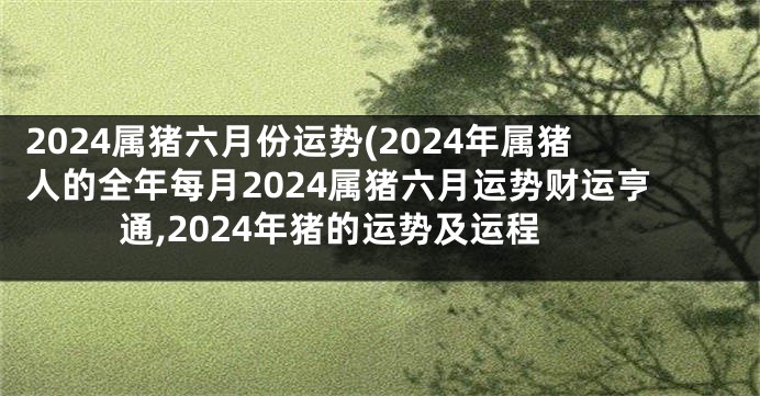 2024属猪六月份运势(2024年属猪人的全年每月2024属猪六月运势财运亨通,2024年猪的运势及运程